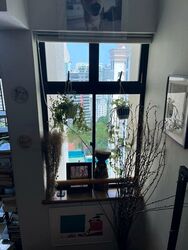 Spring Grove (D10), Condominium #467672061
